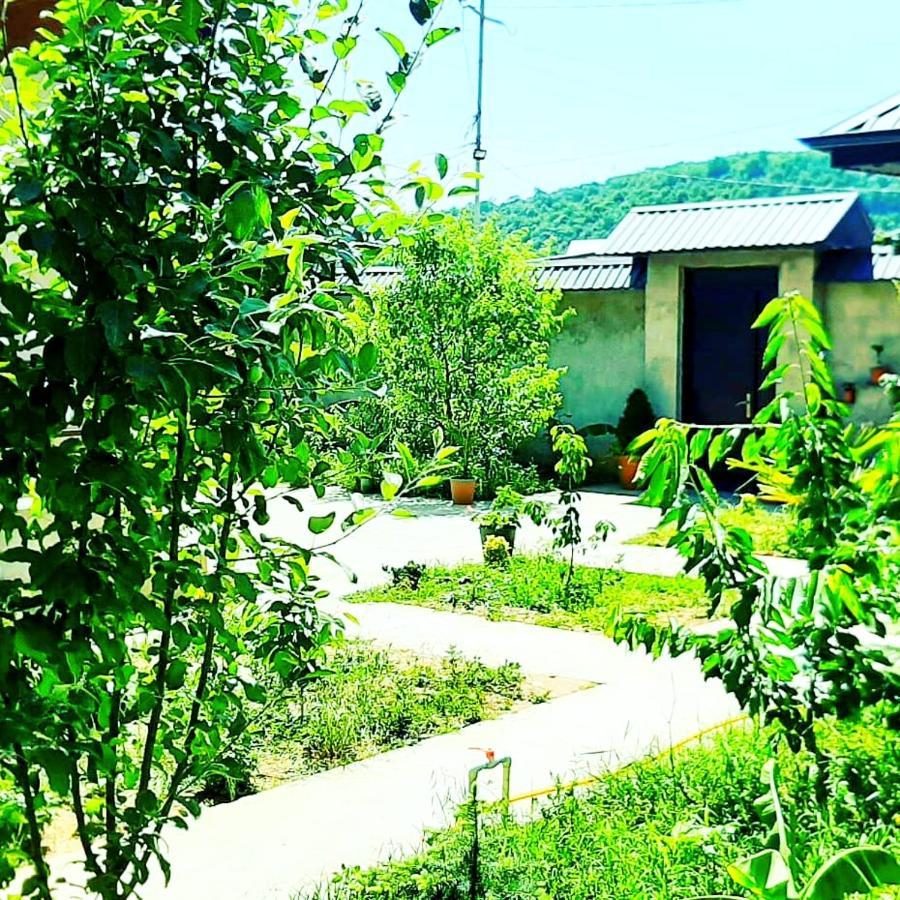 Dom Semya Deluxe Gusar Kusar Dış mekan fotoğraf