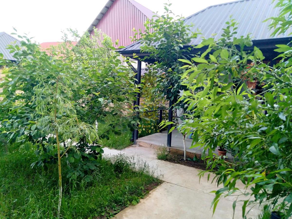 Dom Semya Deluxe Gusar Kusar Dış mekan fotoğraf