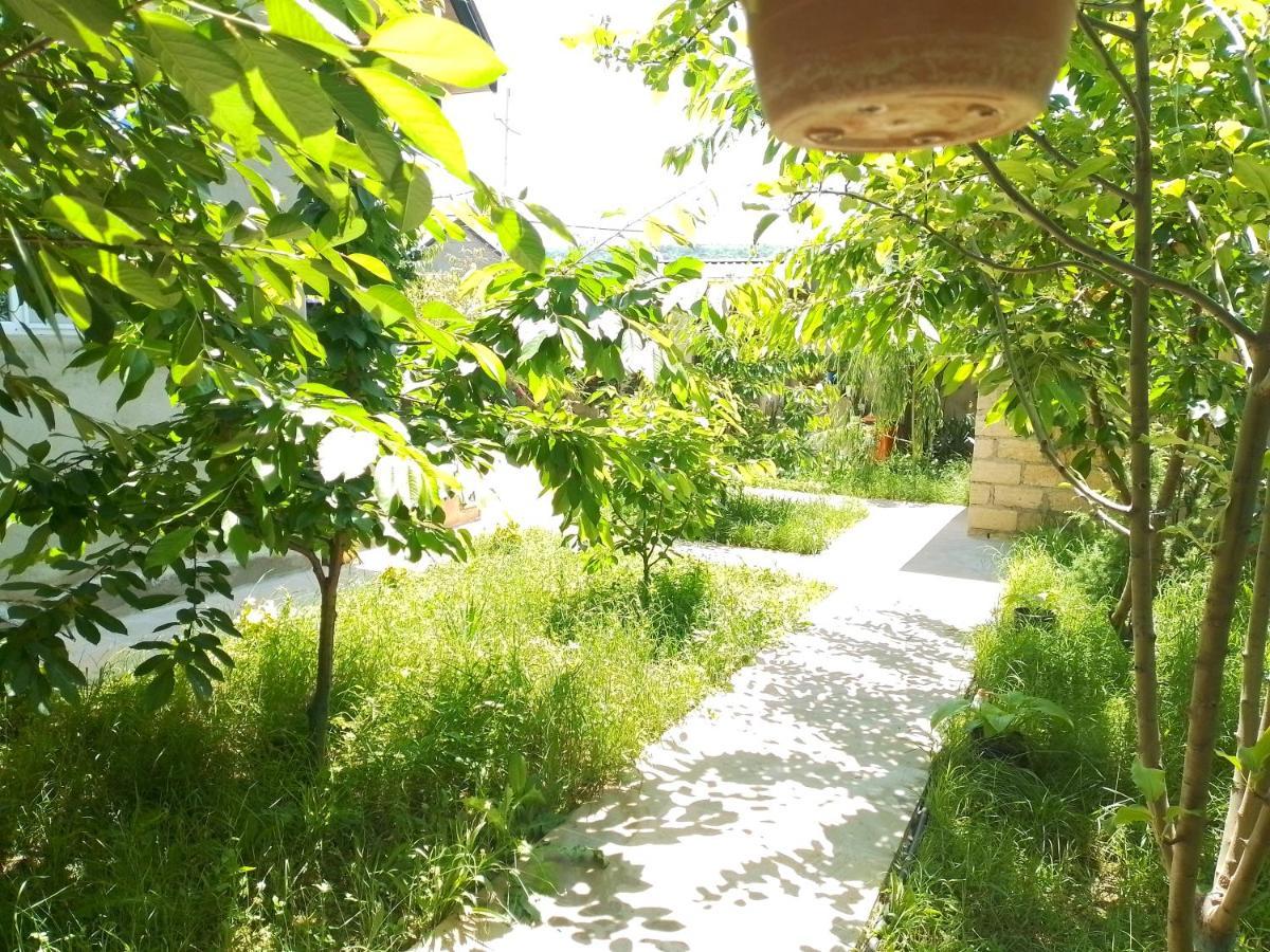 Dom Semya Deluxe Gusar Kusar Dış mekan fotoğraf