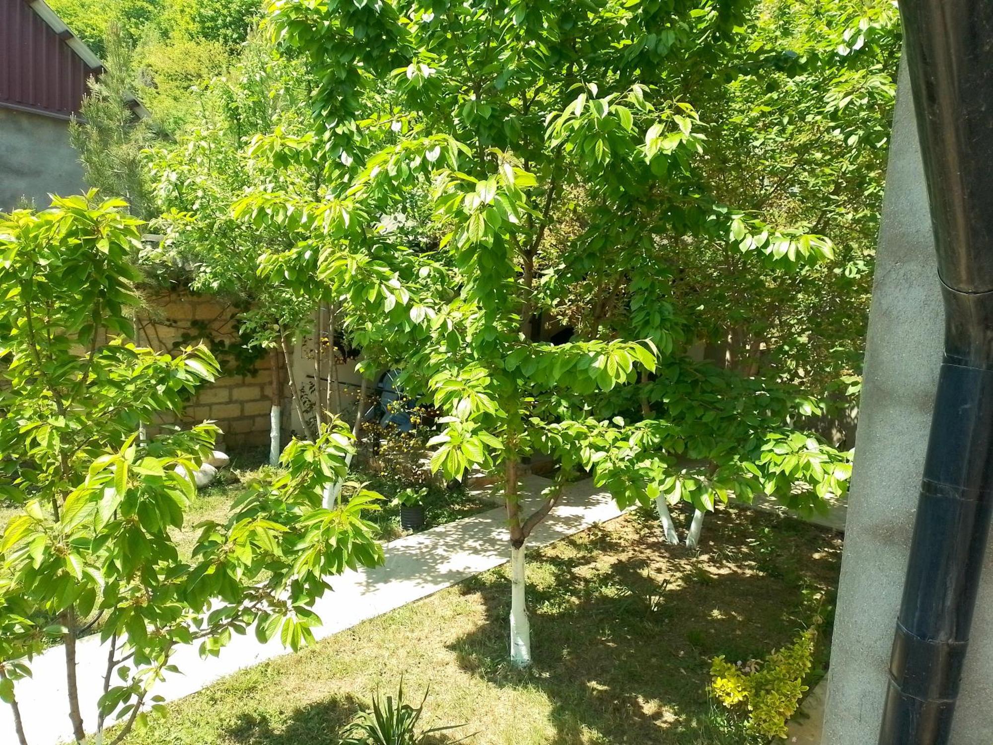 Dom Semya Deluxe Gusar Kusar Dış mekan fotoğraf